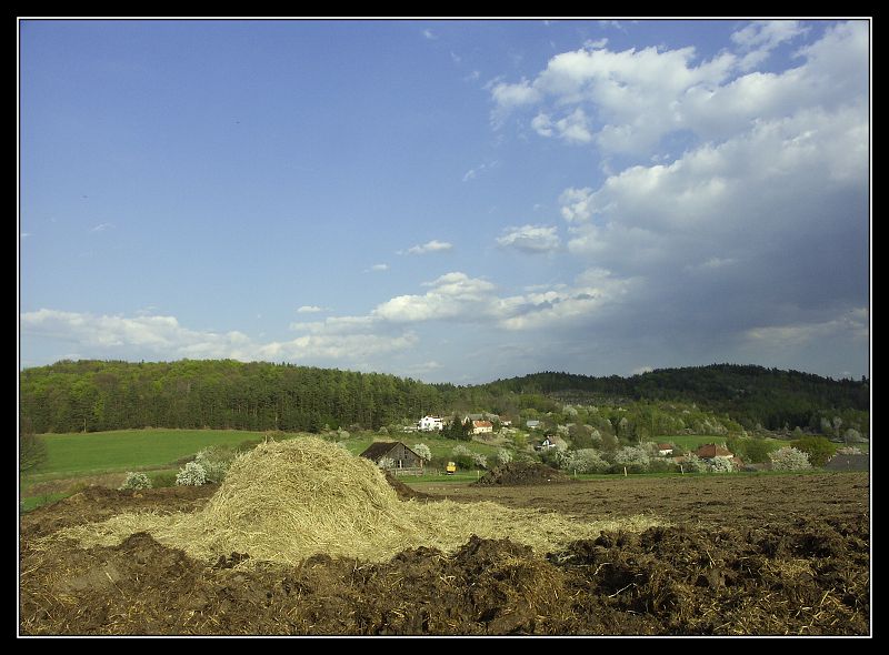 17/4/07 - Vltava