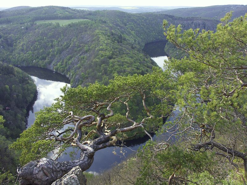 17/4/07 - Vltava