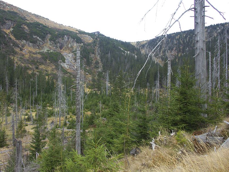 Krkonoše 26-27/10/008