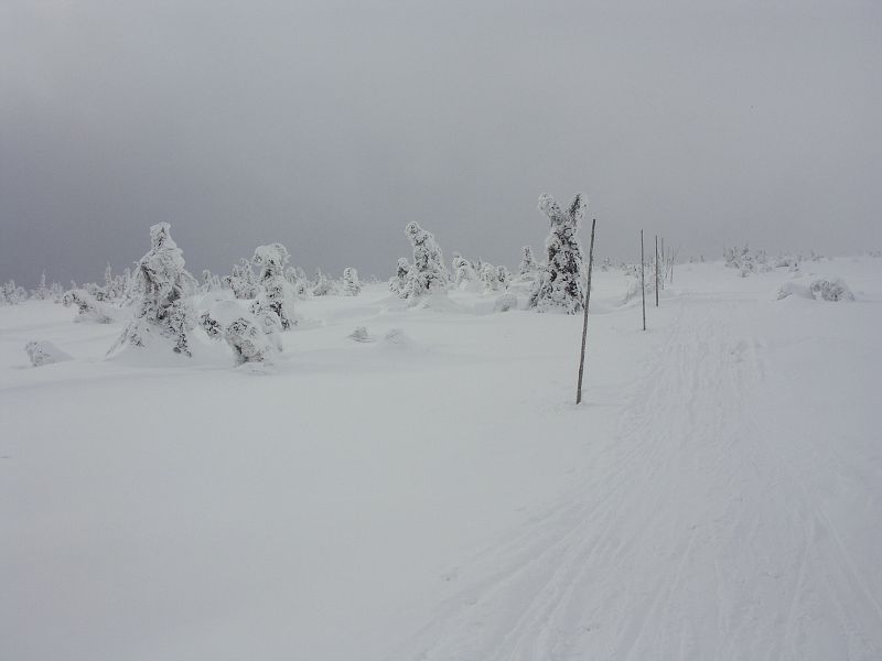 Krkonoše 2-3/01/009