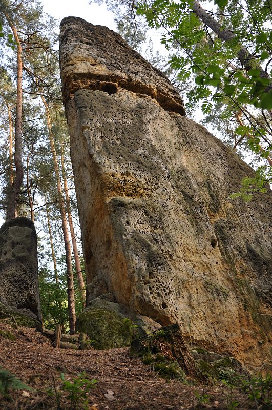 Skály u Mšena