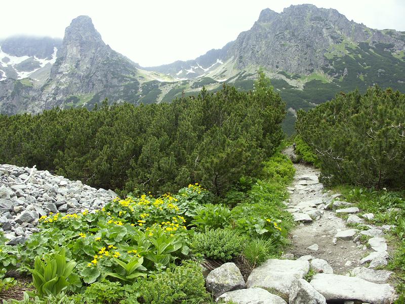 Tatry 1/7 - 6/7/05