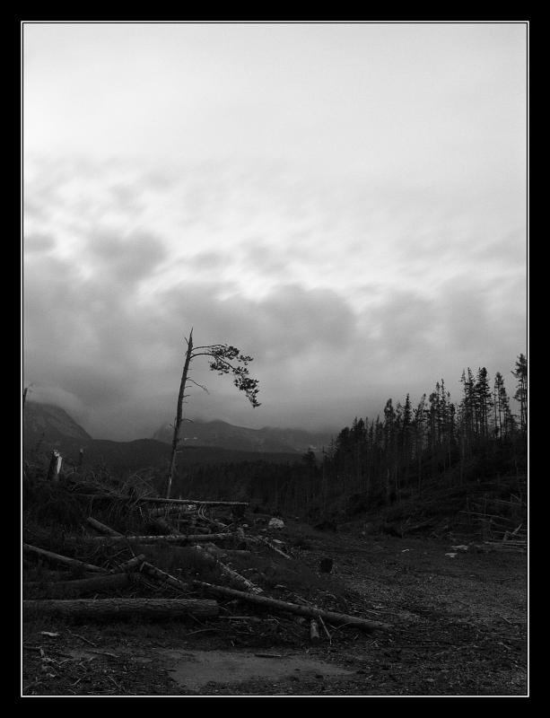 Tatry 1/7 - 6/7/05