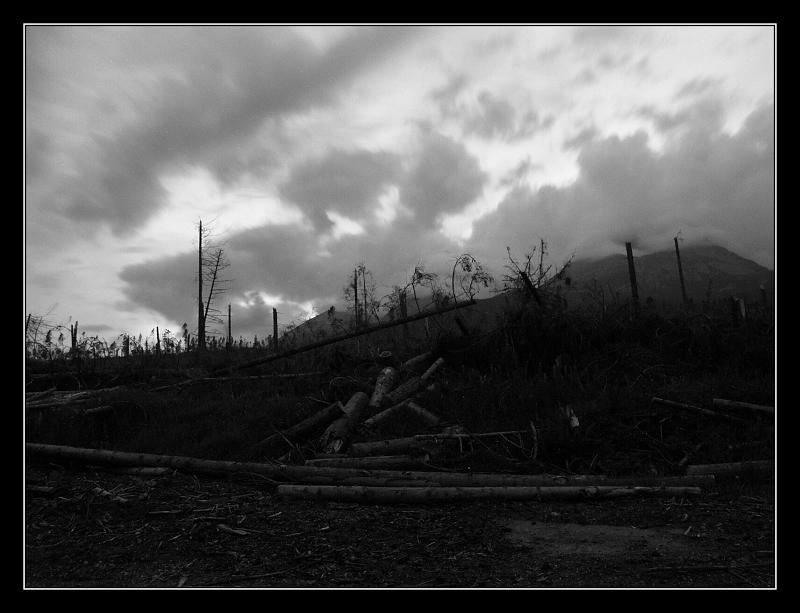 Tatry 1/7 - 6/7/05
