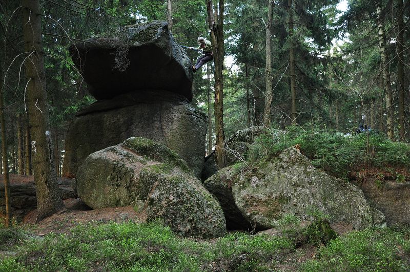 Polubenský hřib