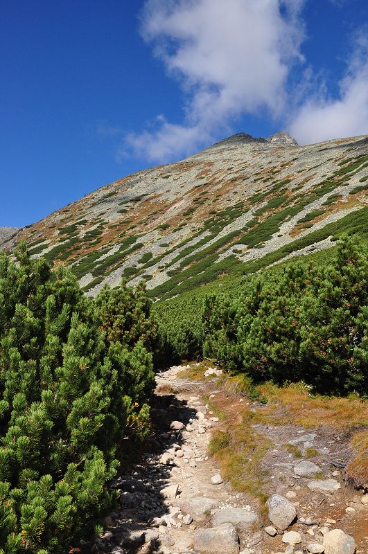 Tatry