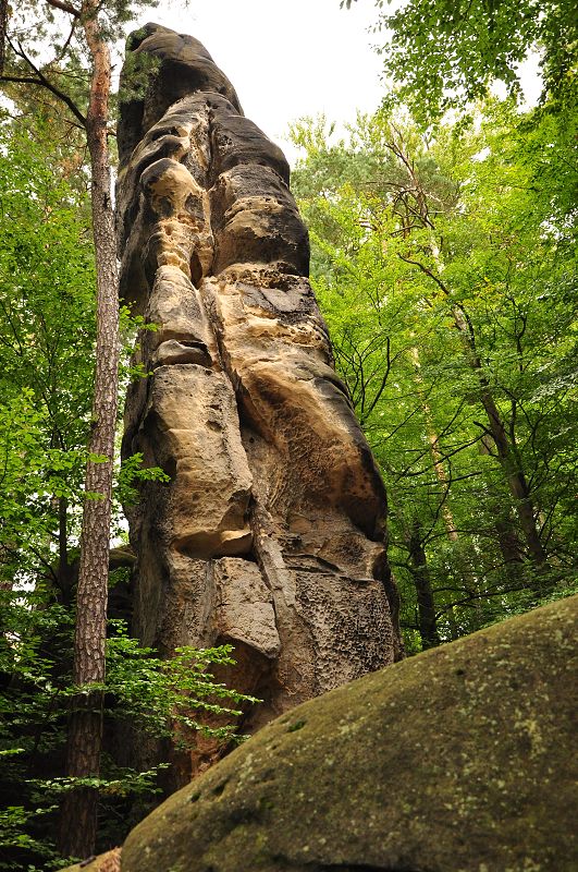 Hradní rytíř