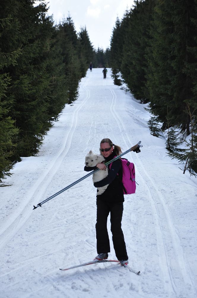 Promenádní