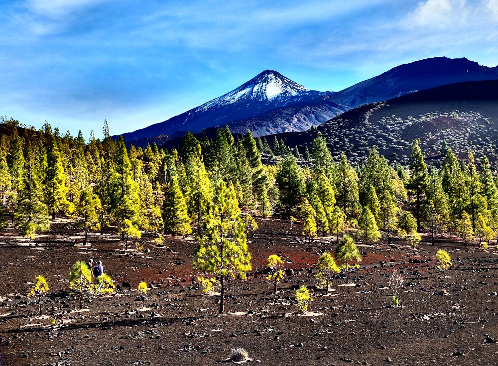 Pico de Teide