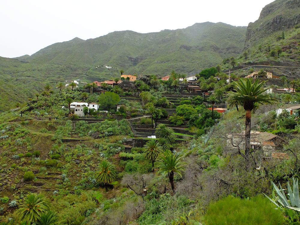 Masca