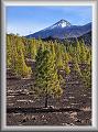 Pico de Teide