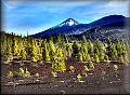 Pico de Teide