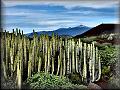 Pico de Teide