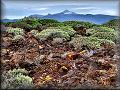 Pico de Teide