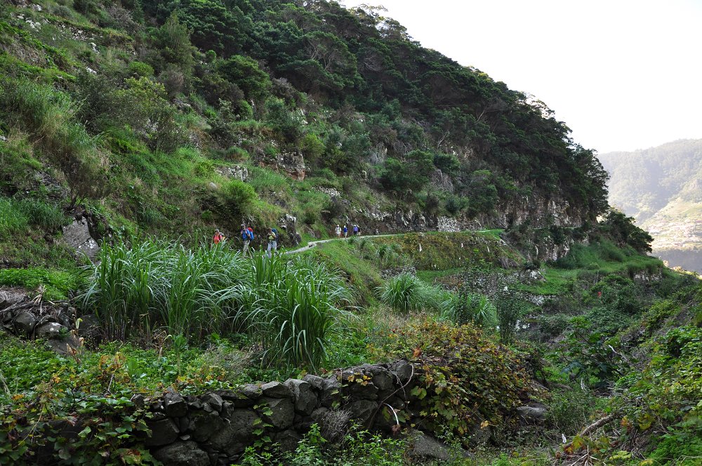 Levada do Canical