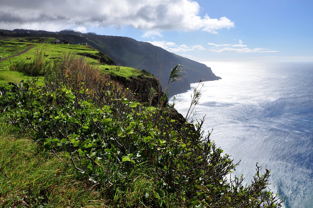 Ponta do Pargo