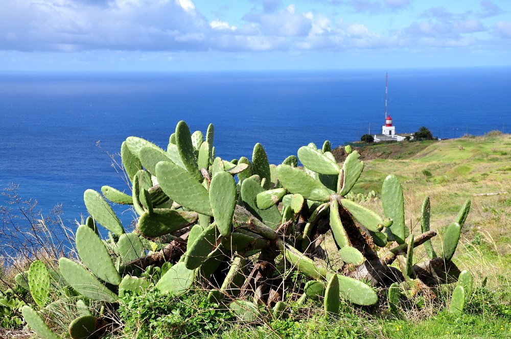 Ponta do Pargo