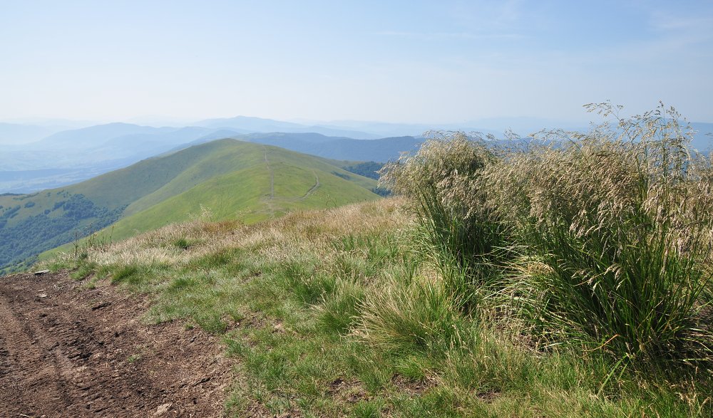 Boržava
