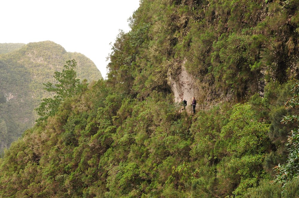 Levada Verde