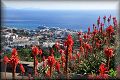 Funchal