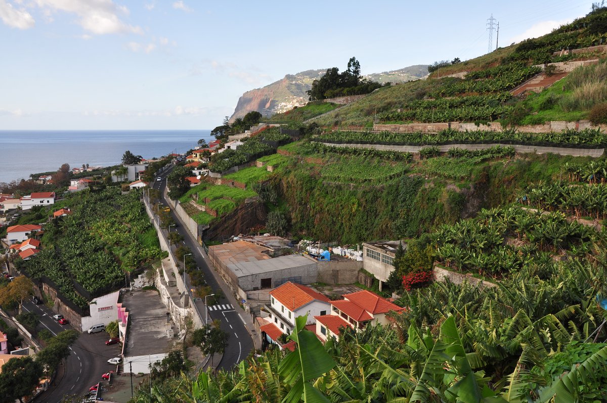 Levada