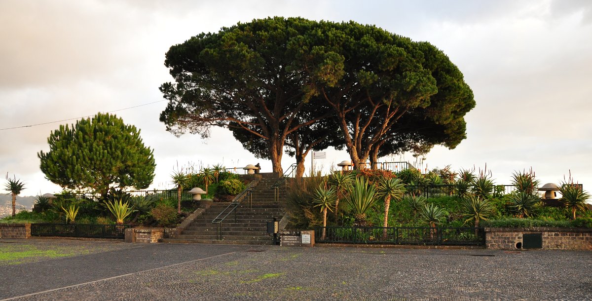 Funchal, Pico dos Barcelos