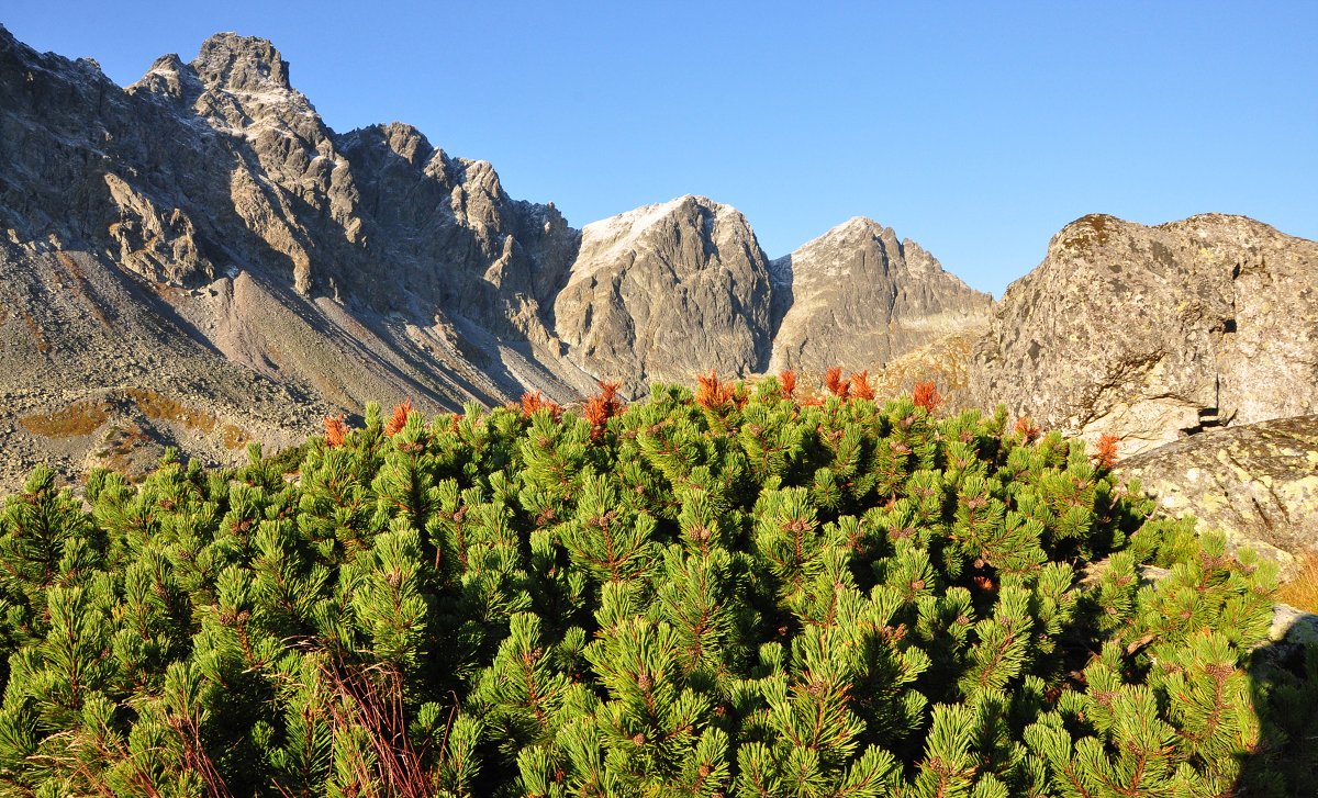 Tatry