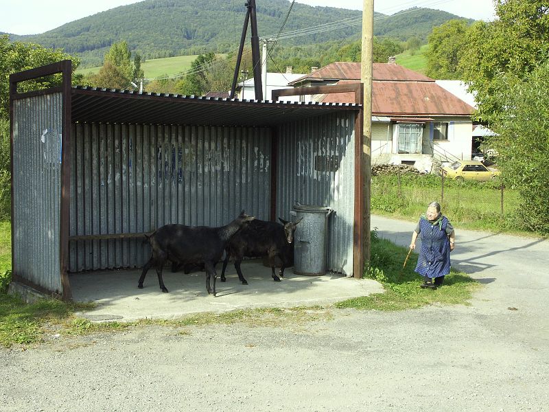 8/06 Vchodn Slovensko