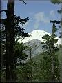 Elbrus